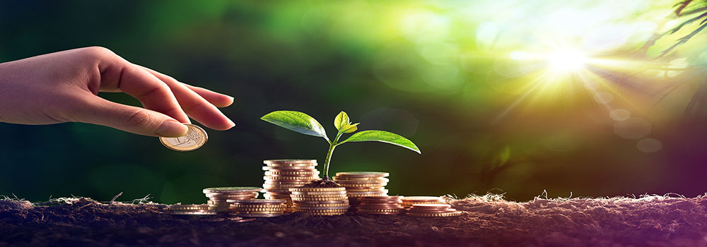 Grünes Investment für naturverbundene Anleger